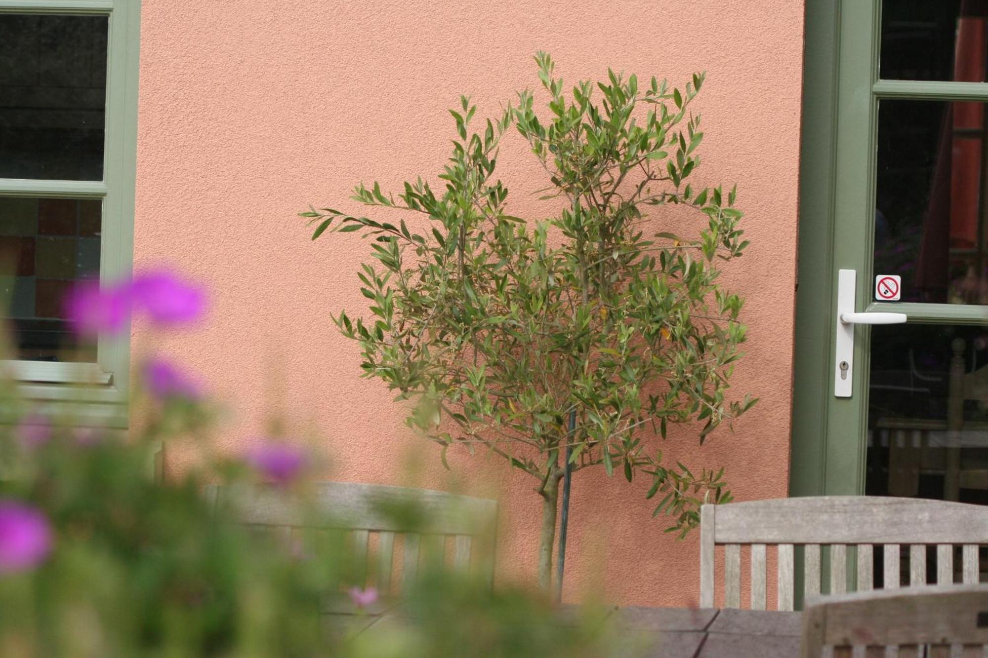 La Cle Du Sud Bed & Breakfast Merelbeke