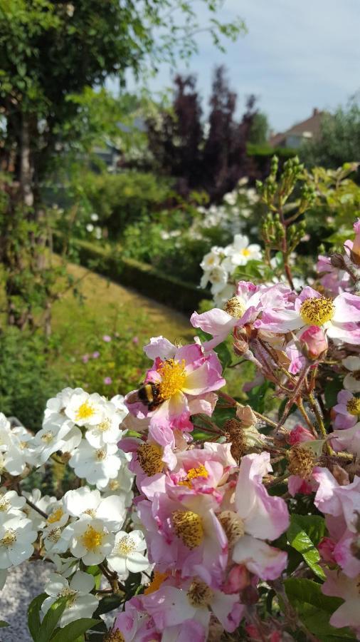 La Cle Du Sud Bed & Breakfast Merelbeke